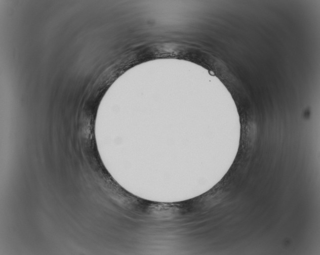 X0000115240331200912111100