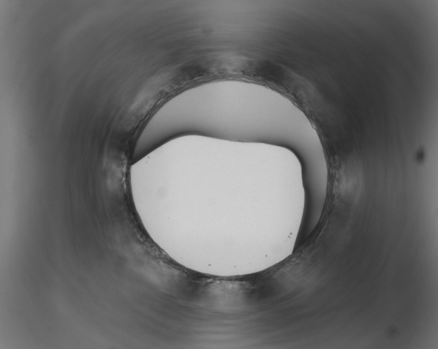 X0000115240332200912111100