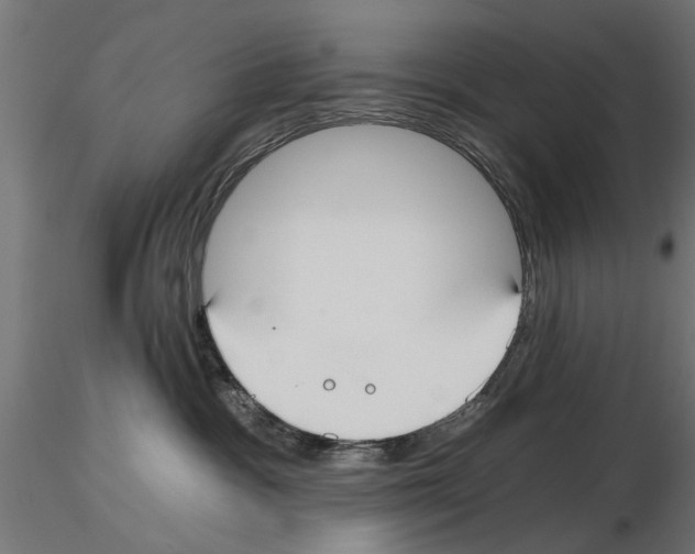 X0000115240333200912111100