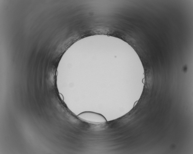 X0000115240334200912111100