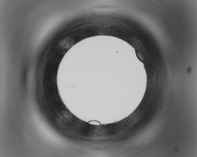 X0000115240335200912111100