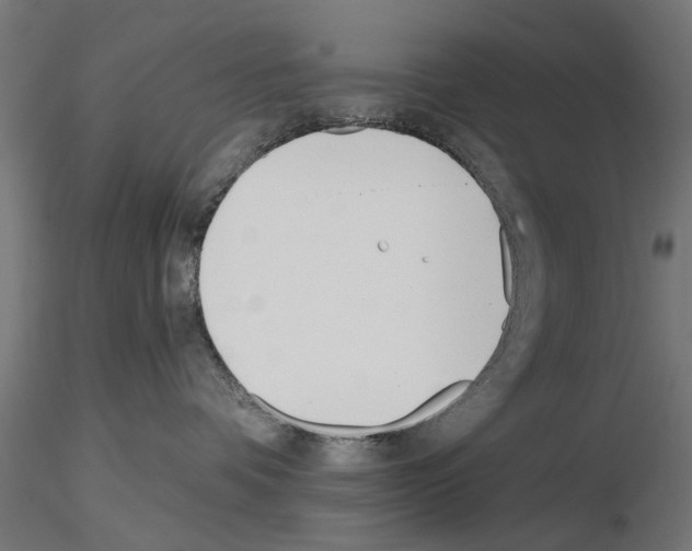 X0000115240336200912111100