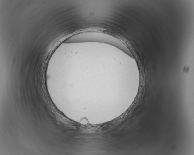 X0000115240337200912111059