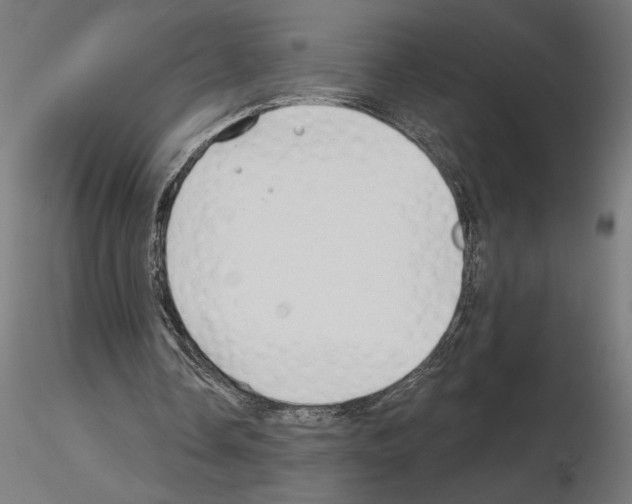 X0000115240338200912111059