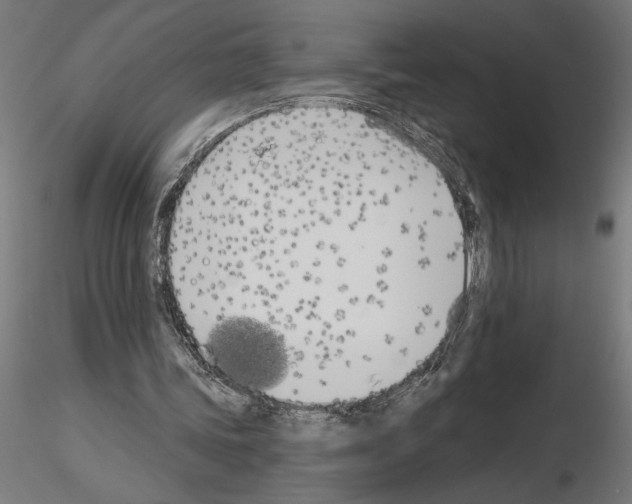 X0000115240339200912111059