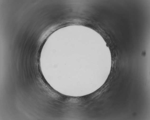 X0000115240341200912111059