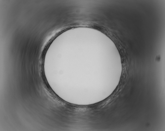 X0000115240342200912111059