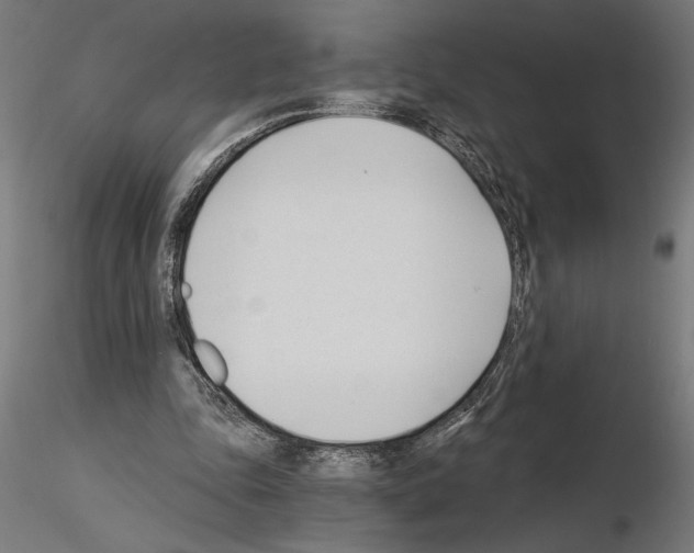 X0000115240343200912111059