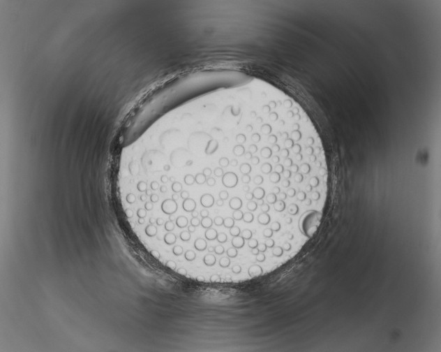 X0000115240346200912111059