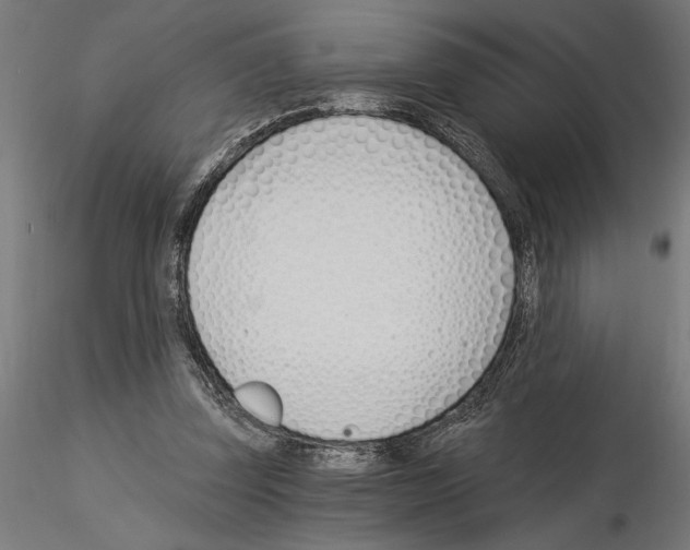 X0000115240347200912111059