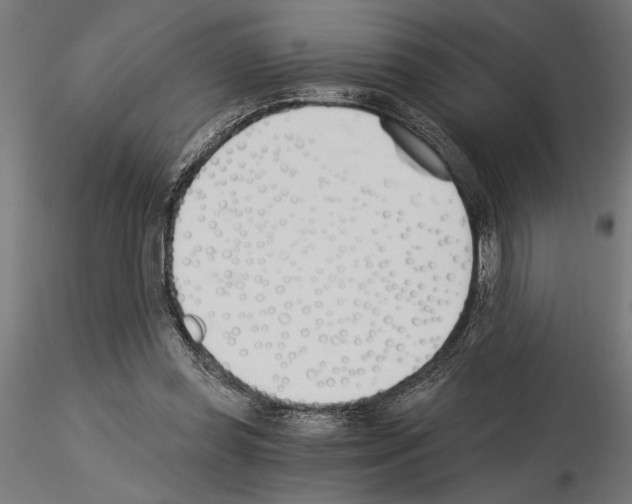 X0000115240349200912111059