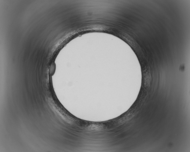 X0000115240350200912111059