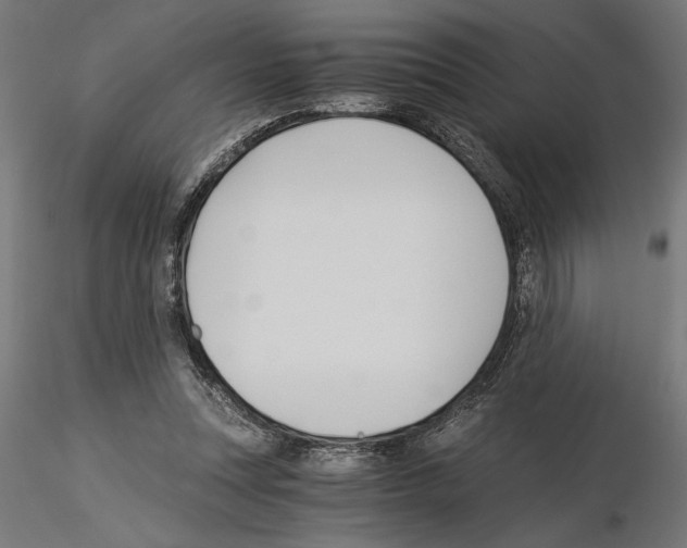 X0000115240351200912111059