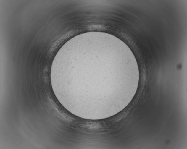 X0000115240353200912111059