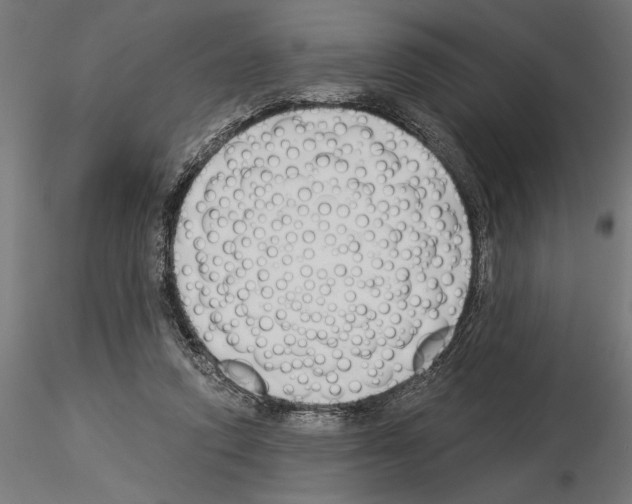 X0000115240354200912111059