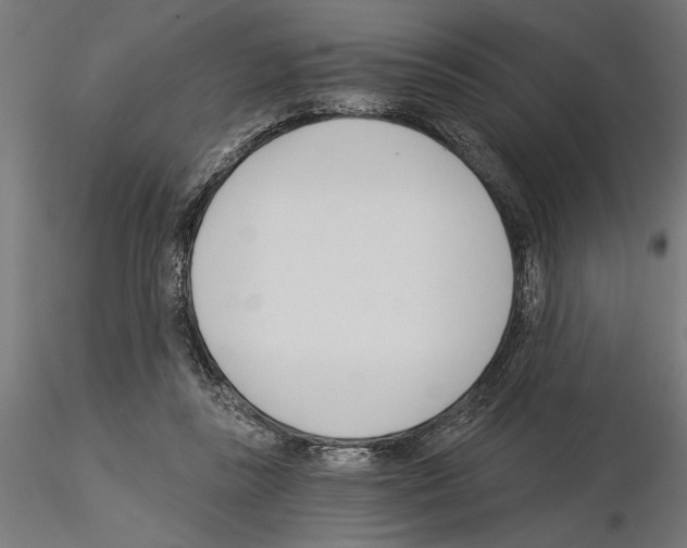 X0000115240355200912111059