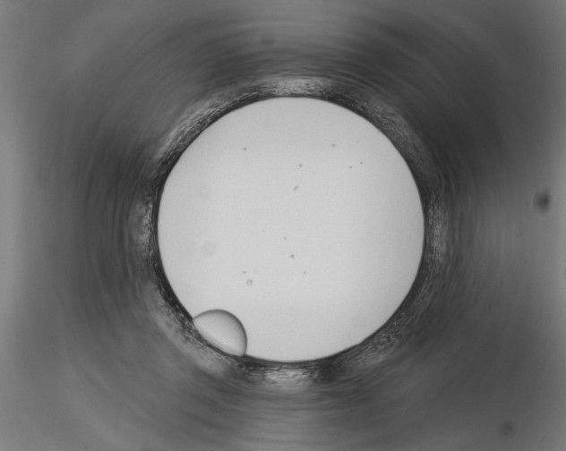 X0000115240357200912111059