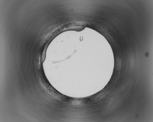 X0000115240358200912111059