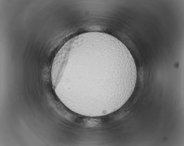 X0000115240359200912111059