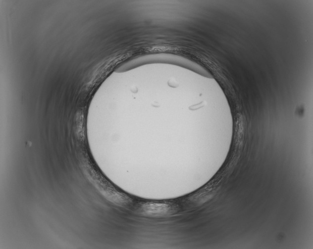 X0000115240361200912111059