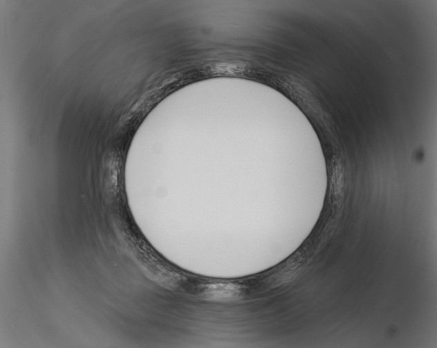 X0000115240363200912111059