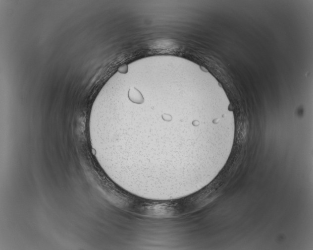 X0000115240365200912111059