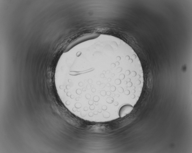 X0000115240366200912111059