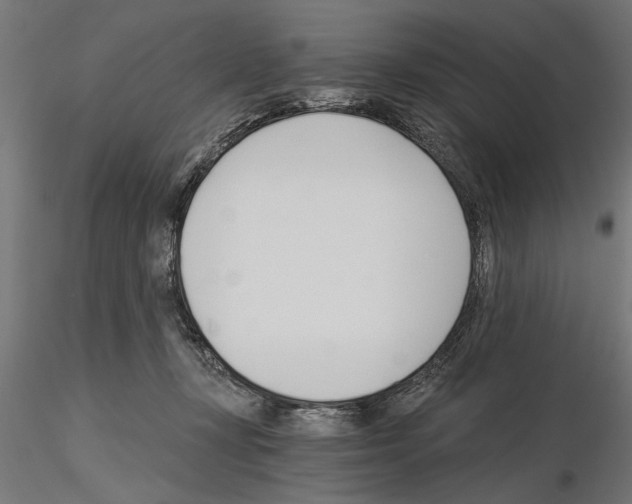 X0000115240367200912111059