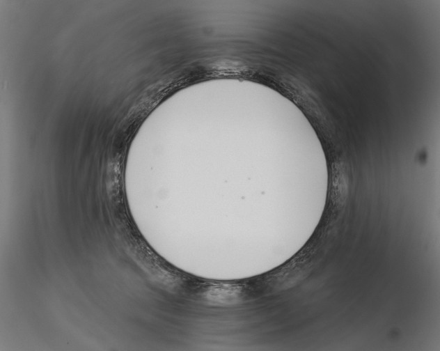 X0000115240369200912111059