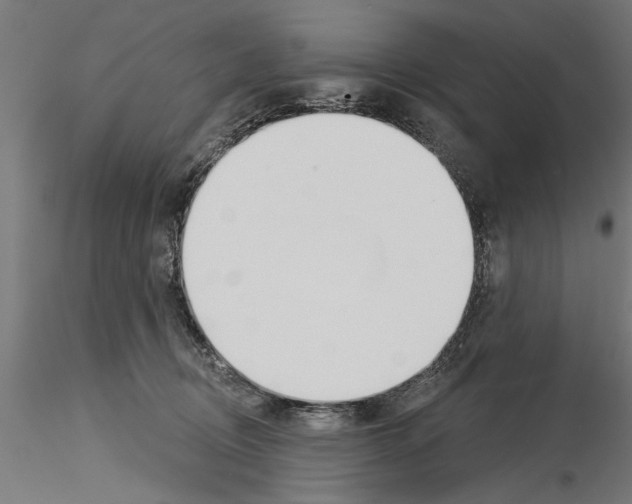 X0000115240370200912111059