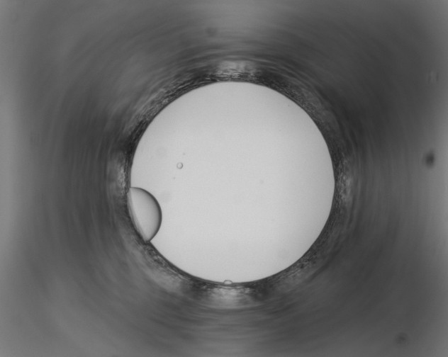 X0000115240375200912111059