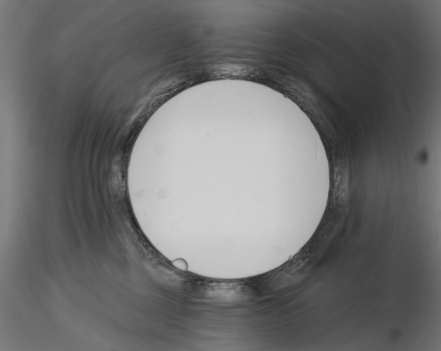 X0000115240377200912111100