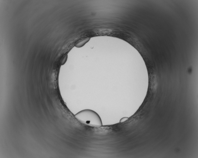 X0000115240378200912111100