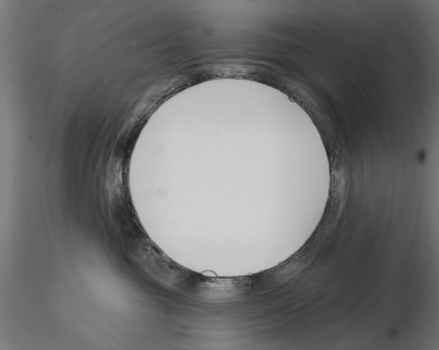 X0000115240381200912111100