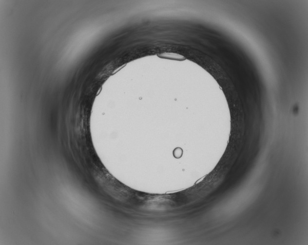 X0000115240382200912111100