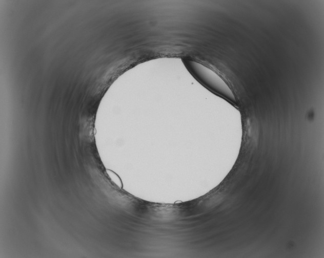 X0000115240383200912111100