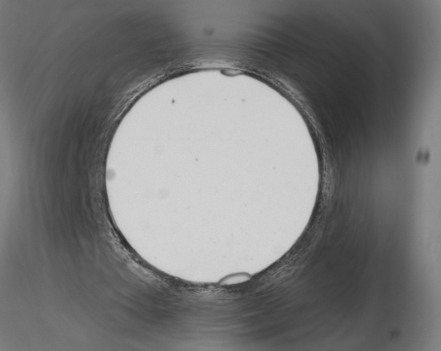 X0000115240385200912111059