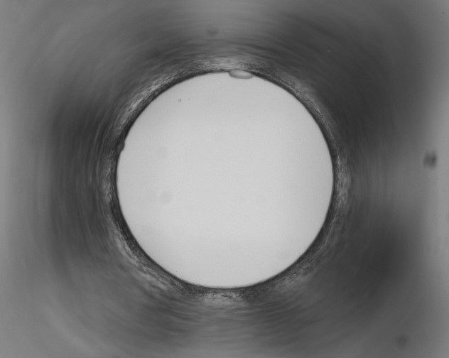 X0000115240386200912111059