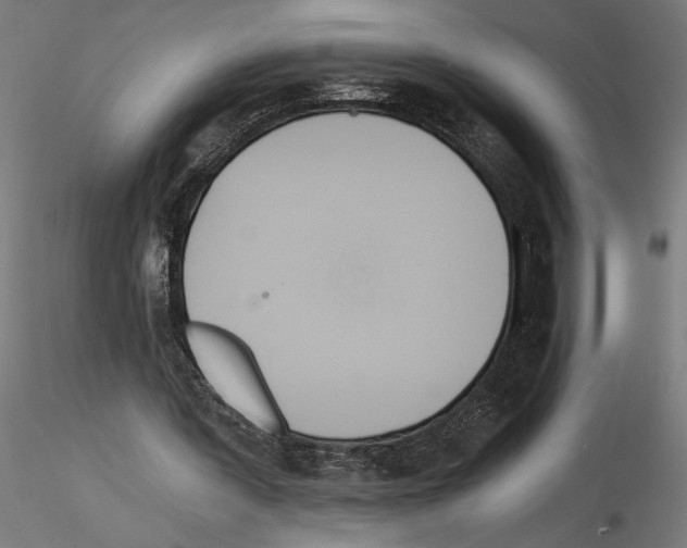 X0000115240387200912111059