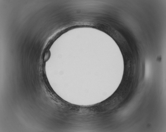 X0000115240388200912111059