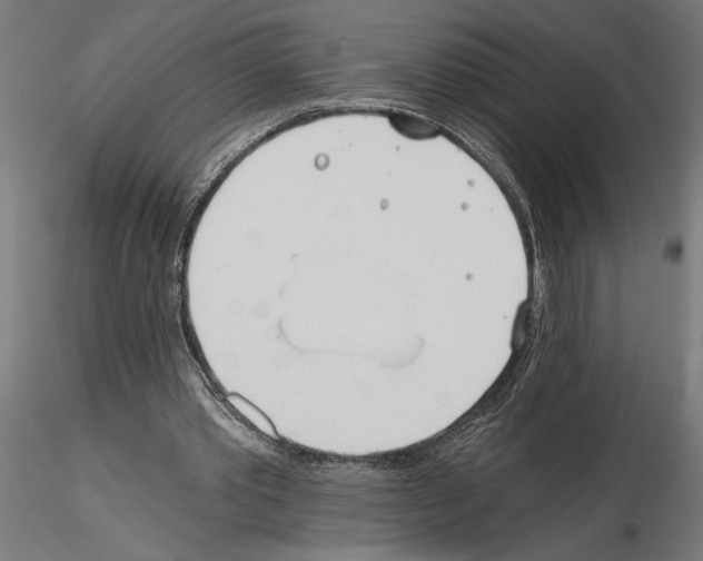 X0000115240389200912111059