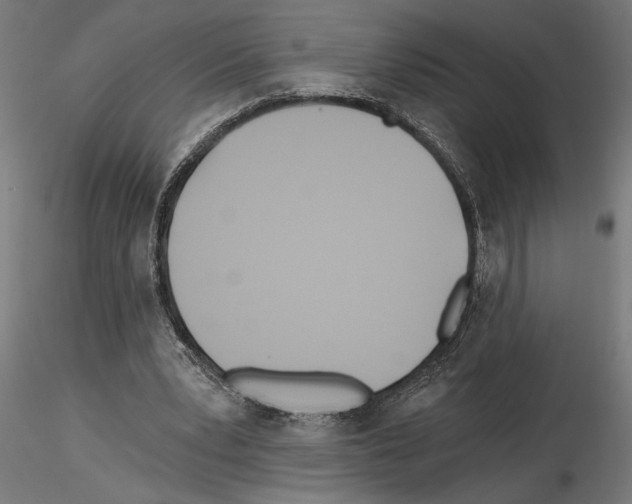 X0000115240391200912111059