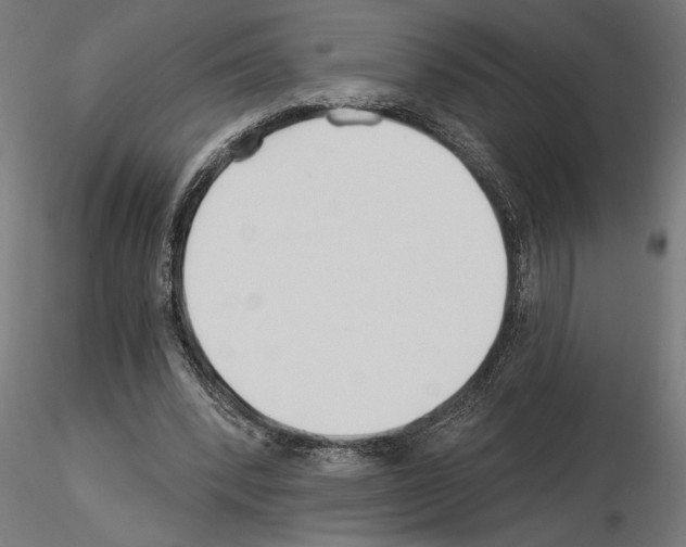 X0000115240392200912111059