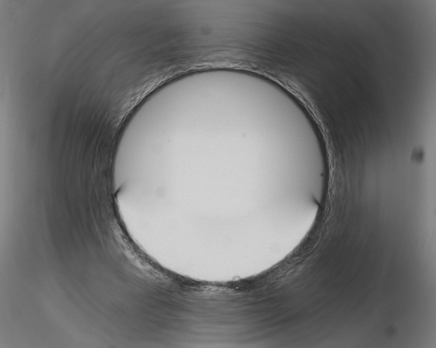 X0000115240393200912111059