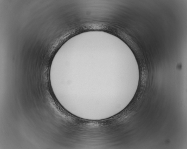 X0000115240394200912111059