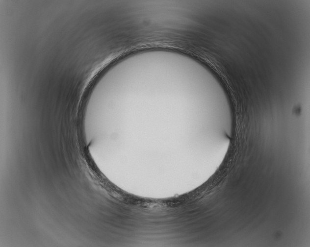 X0000115240395200912111059