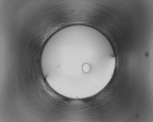 X0000115240397200912111059