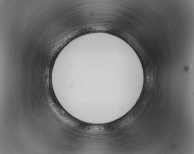 X0000115240398200912111059