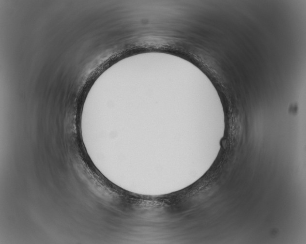 X0000115240399200912111059