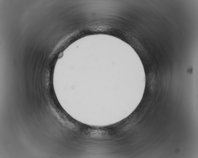 X0000115240400200912111059